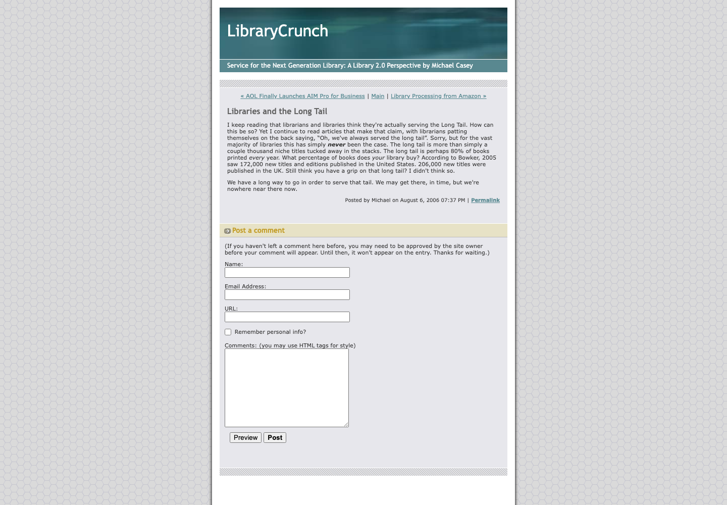 Screenshot preview of Libraries and the Long Tail