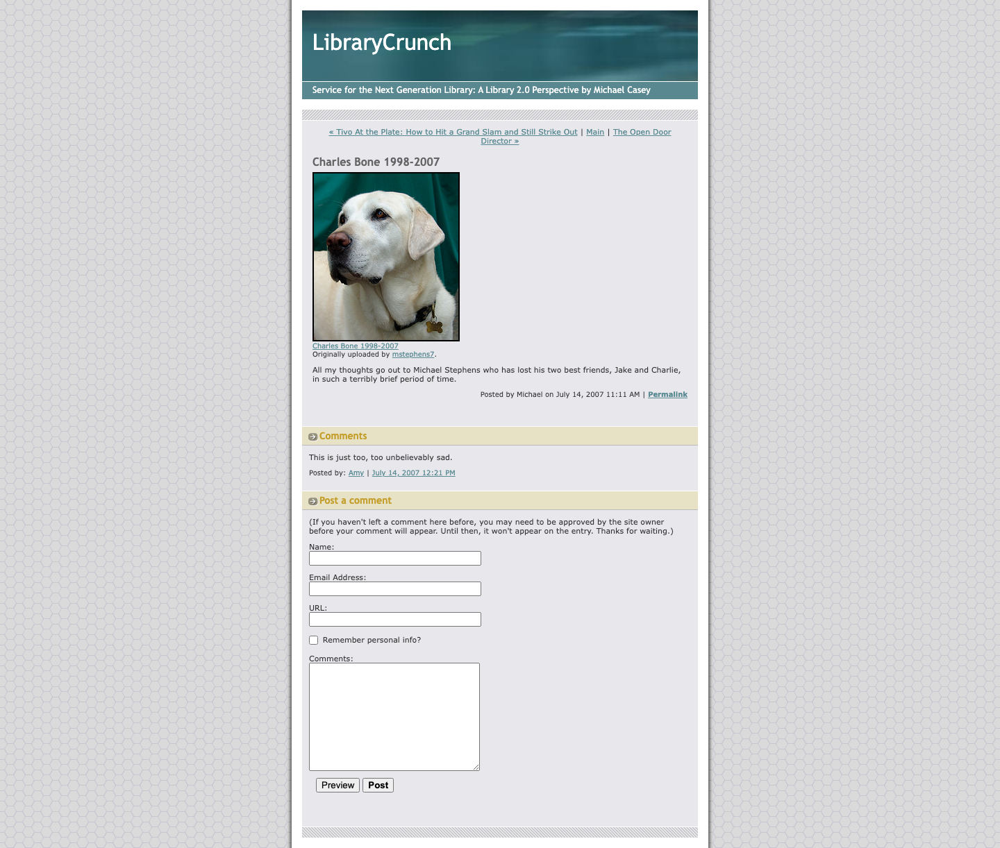 Screenshot preview of Charles Bone 1998-2007